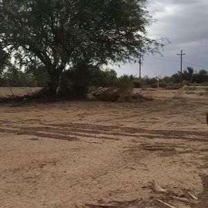 Meet your Posher, Marco